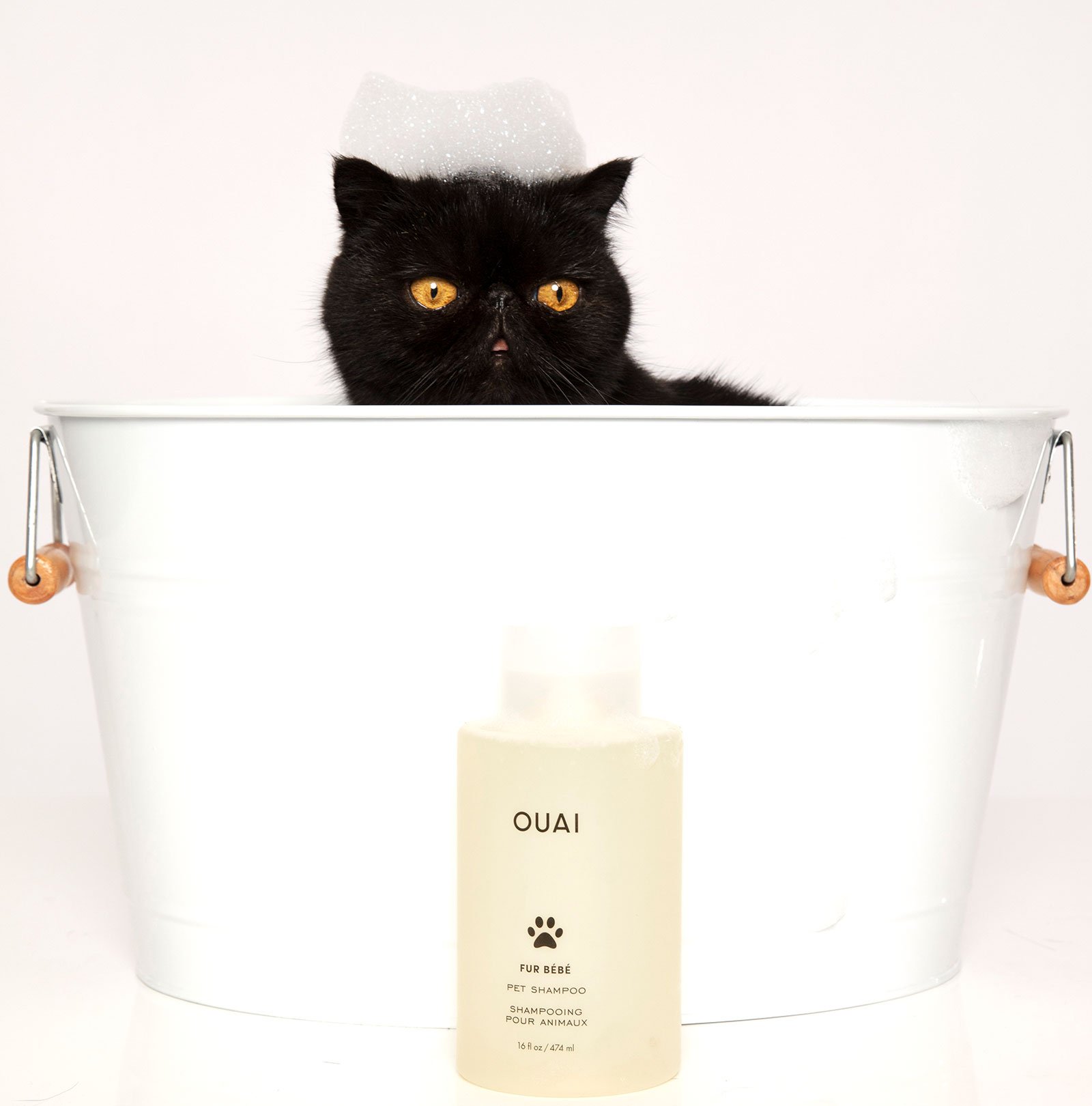 Fur Bébé